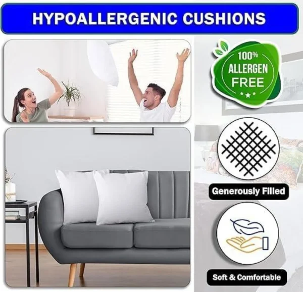 Goishtrie Pillow Cushion Stuffer Inserts (Pack of 4)