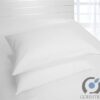 Goishtrie Waterproof Pillow Protector Cover