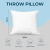 Goishtrie Pillow Cushion Stuffer Inserts (Pack of 4)