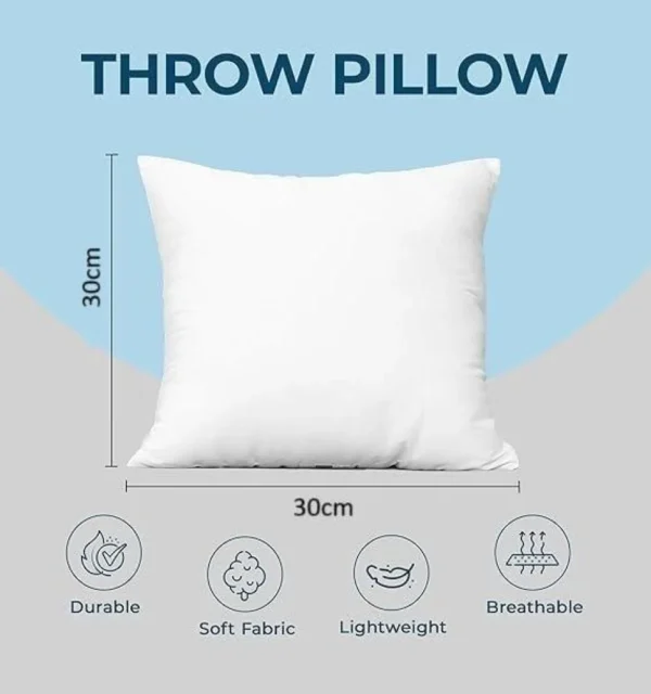 Goishtrie Pillow Cushion Stuffer Inserts (Pack of 4)