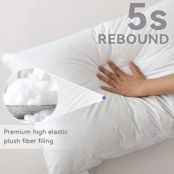 Goishtrie Gusseted Bed Pillow Size 75x50
