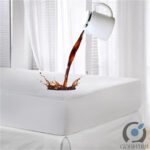 Goishtrie Premium Waterproof Small Mattress Protector